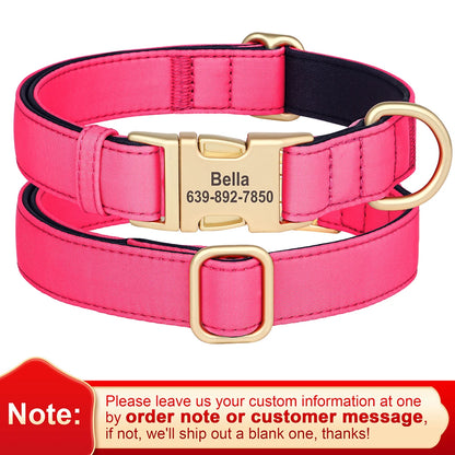 Custom Nylon Collar