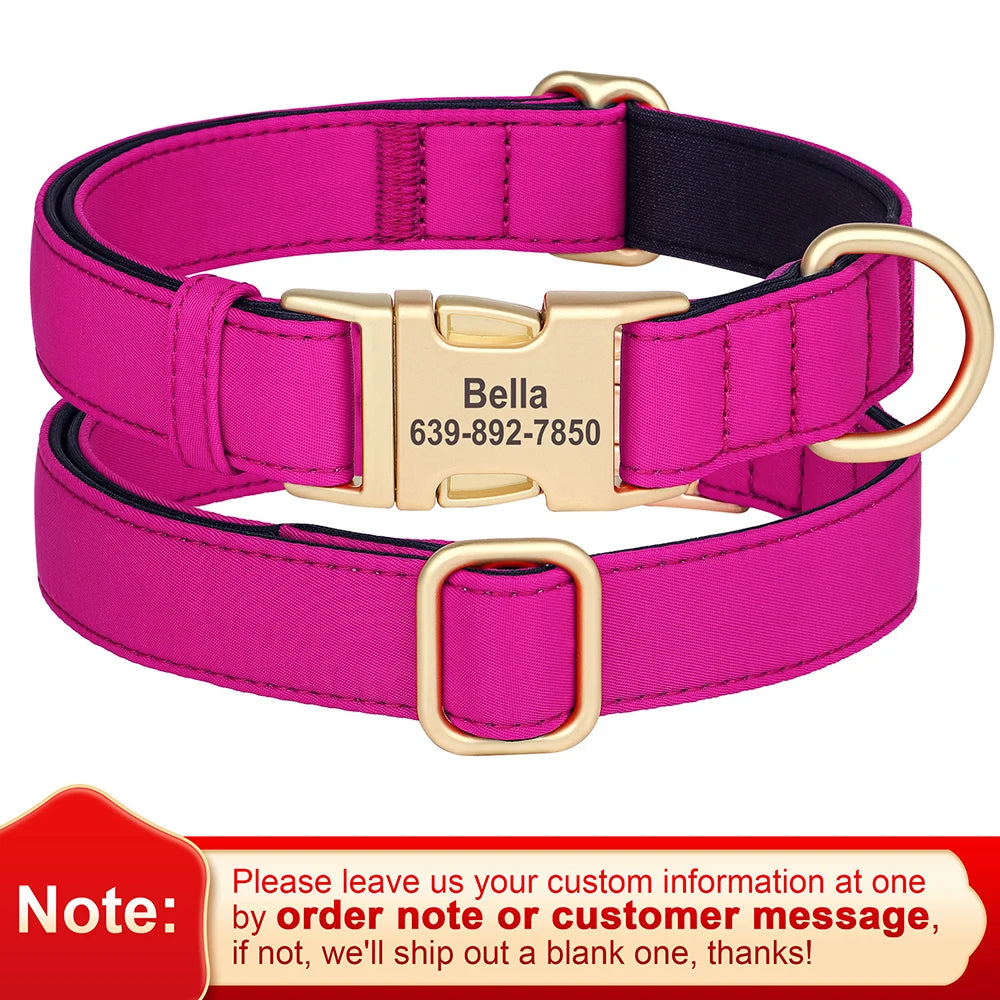 Custom Nylon Collar