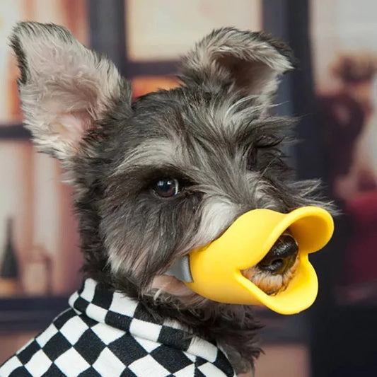 Duck Muzzle
