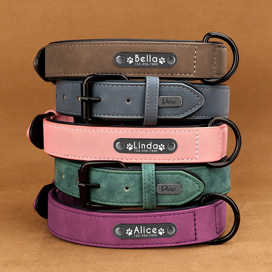 Custom Leather ID Collar