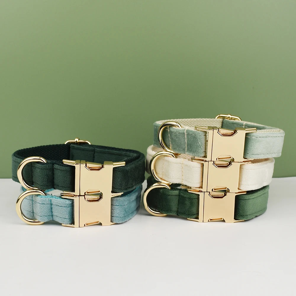 Adjustable Collar & Leash