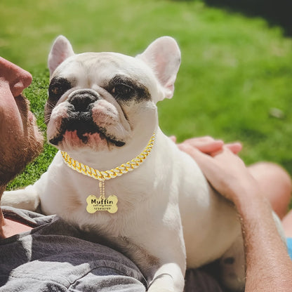 Gold Collar