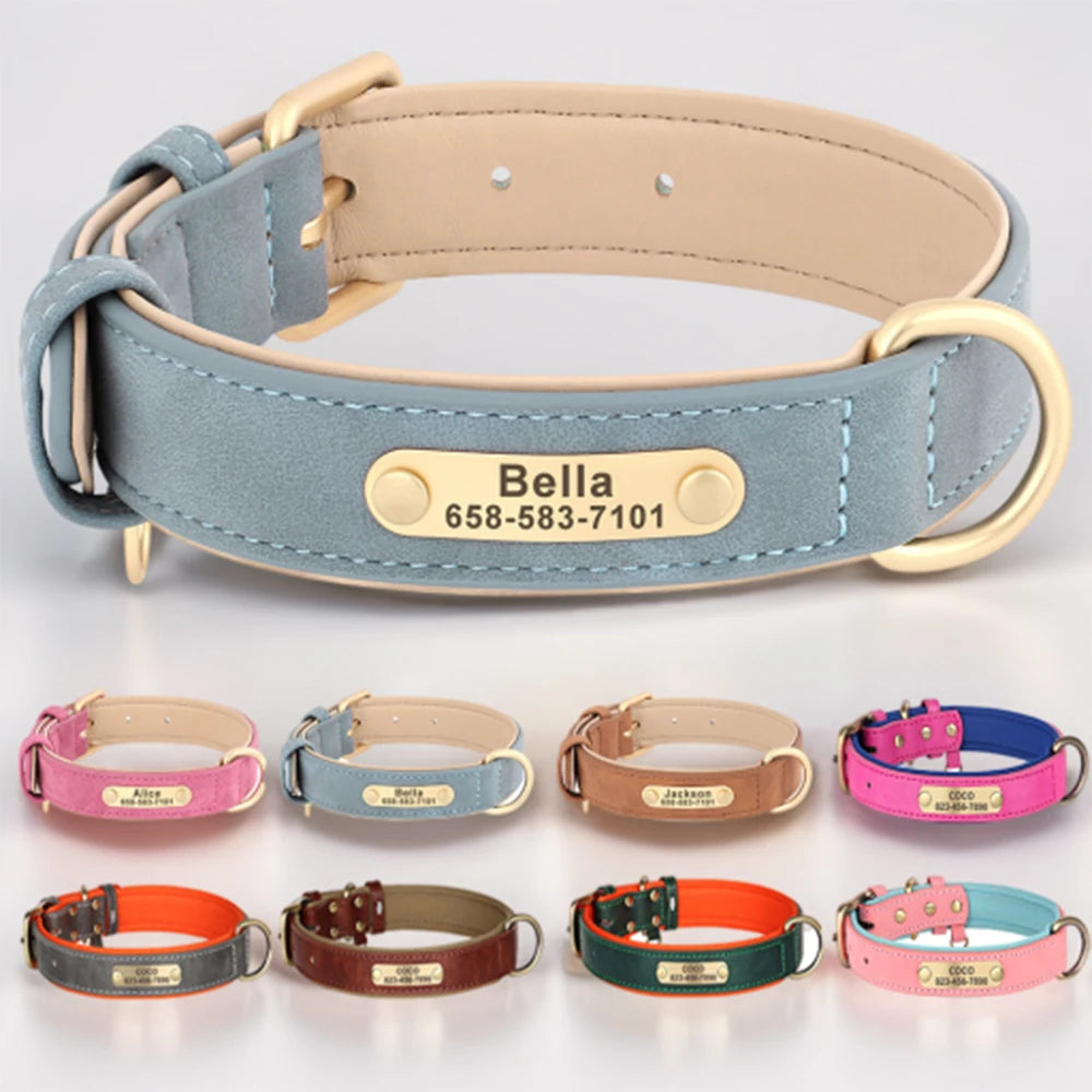 Personalized Leather Collar