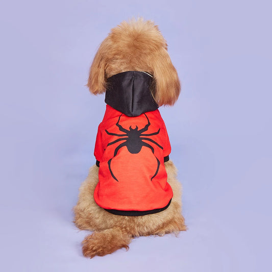 Spider Turtleneck