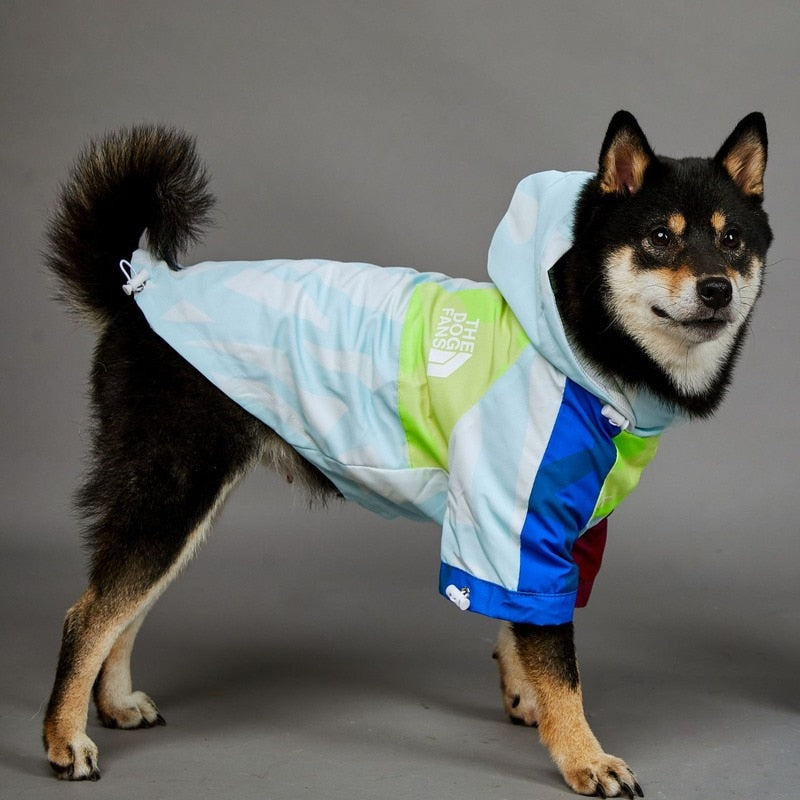 The Dog Face Raincoat