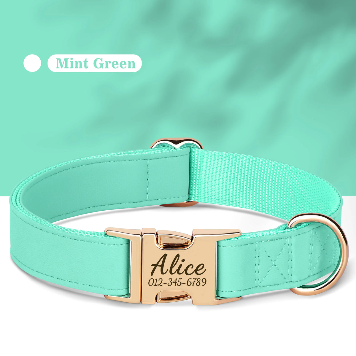 Engraved Leather Collar