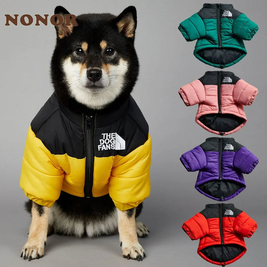 The Dog Face Jacket