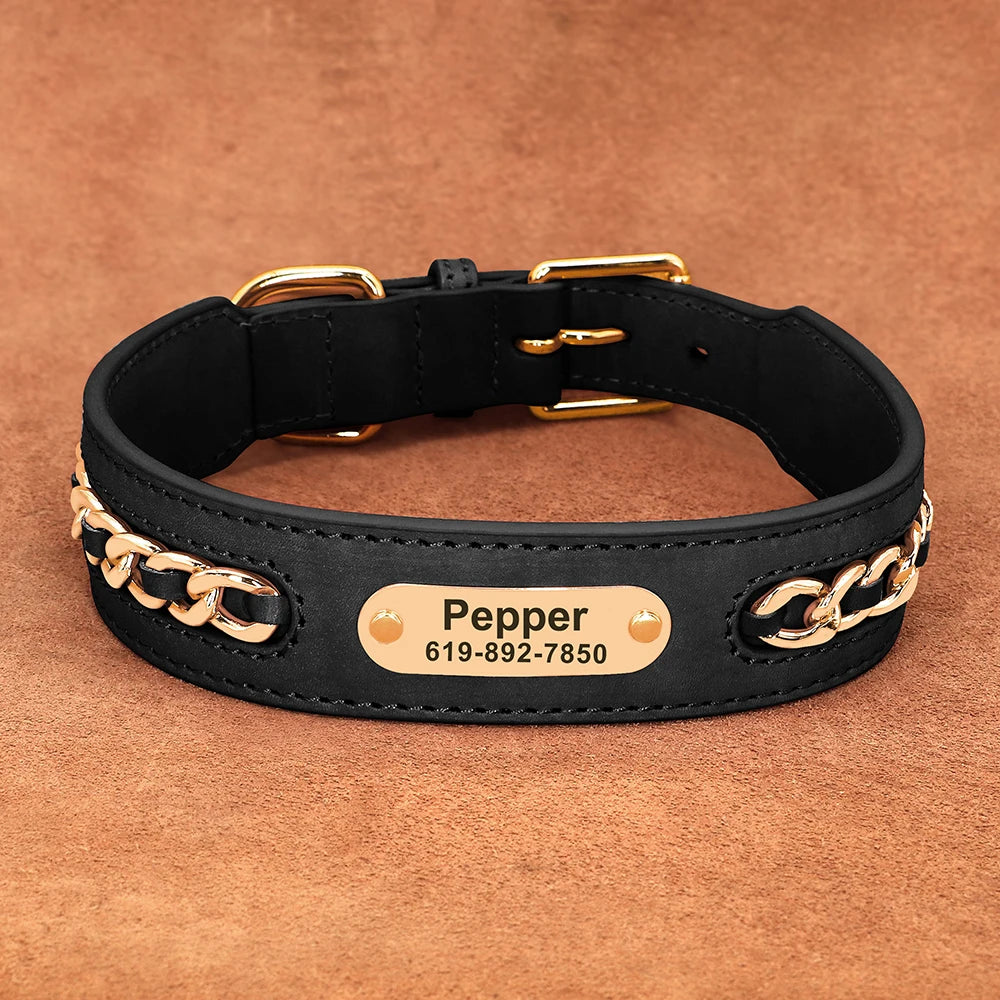 Custom Collar