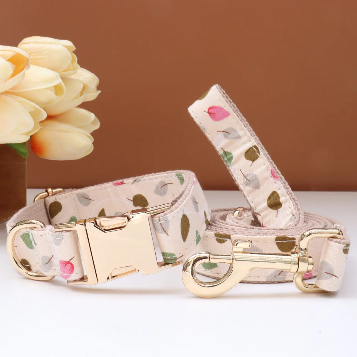Custom Collar & Leash
