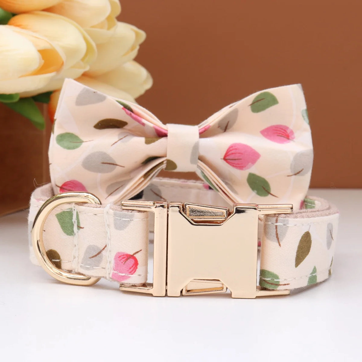 Custom Collar & Leash