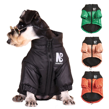Windproof Winter Jacket