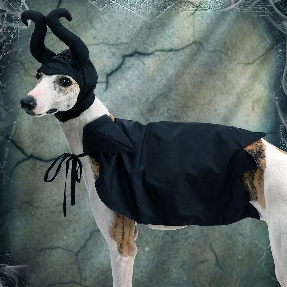 Maleficent Costume