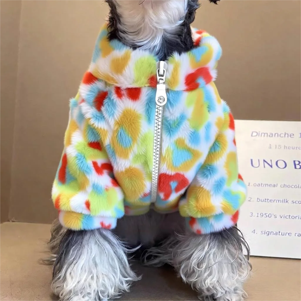 Colorful Zipper Jacket
