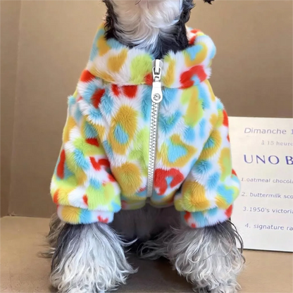 Colorful Zipper Jacket
