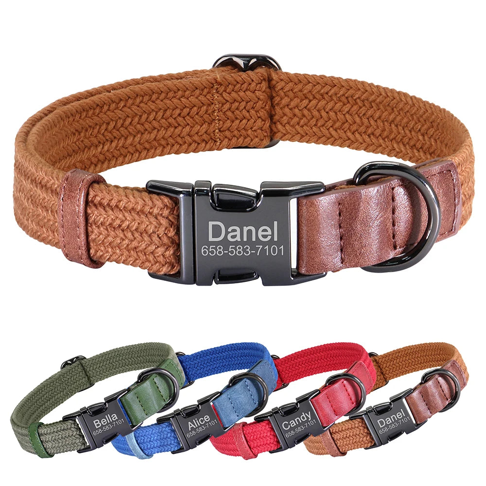 Custom Collar
