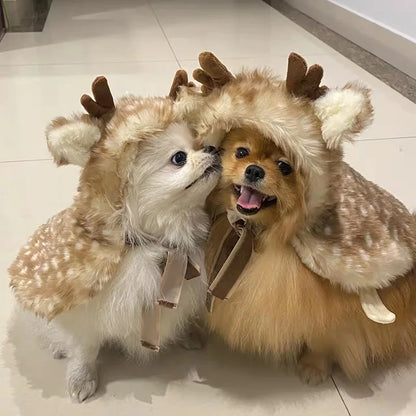 Festive ELK Cape