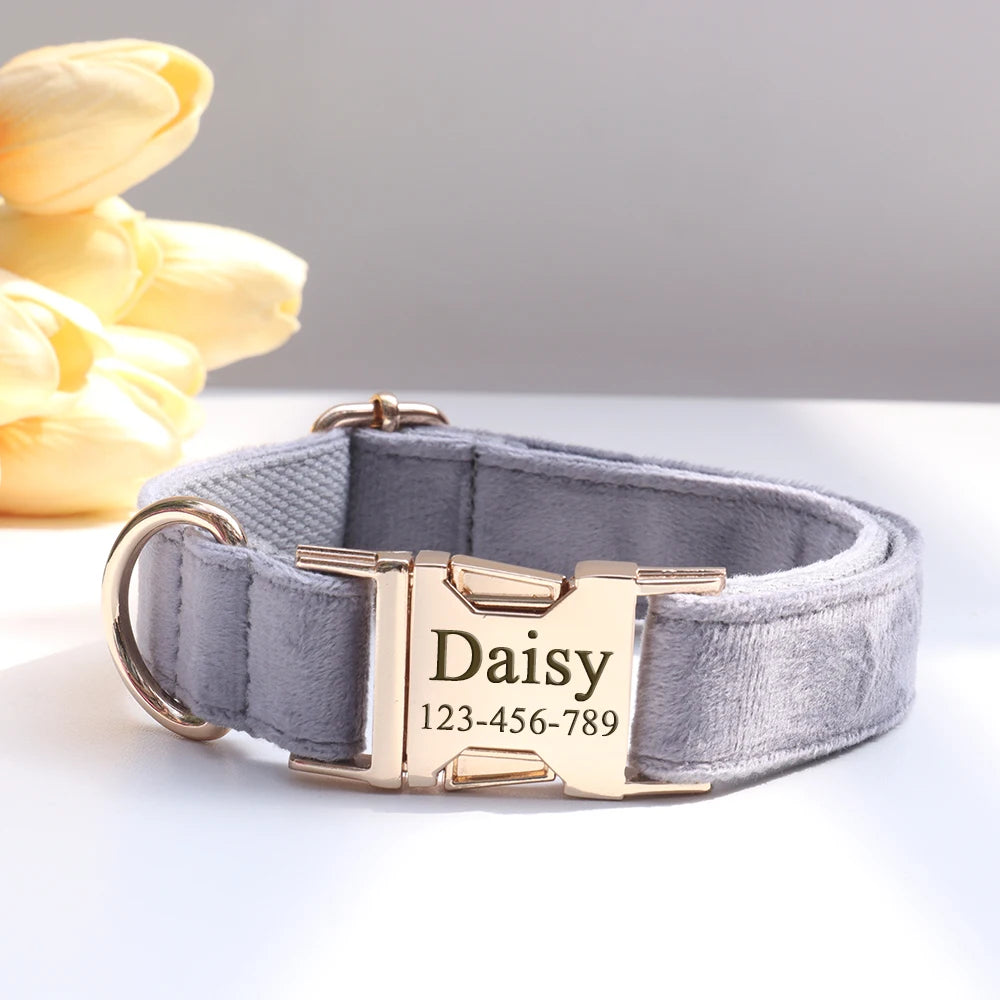 Personalized Collar