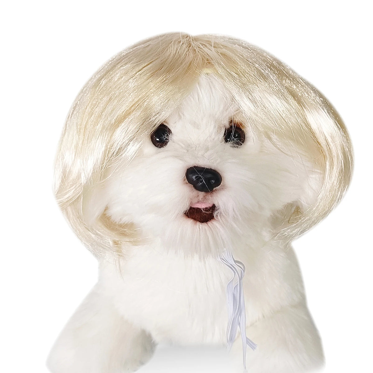 Playful Wig