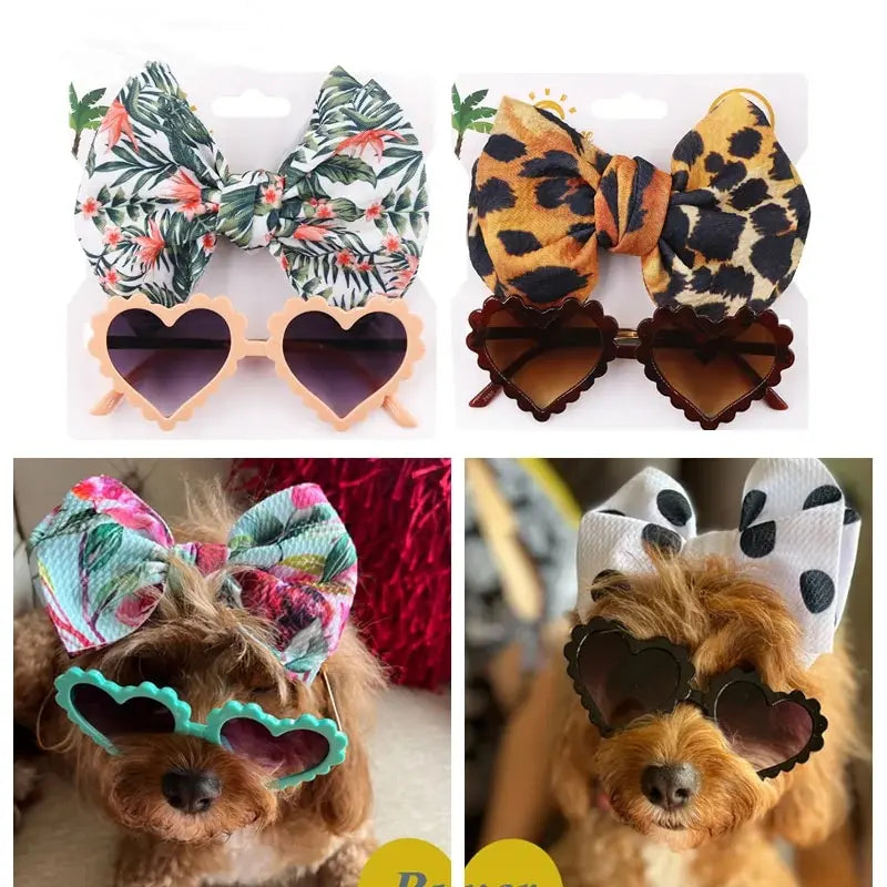 Sunglasses & Bows