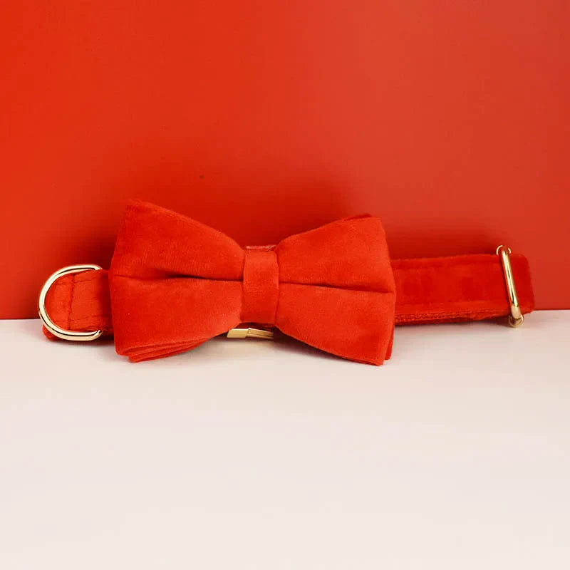 47959058350427|47959058383195|47959058415963|47959060545883