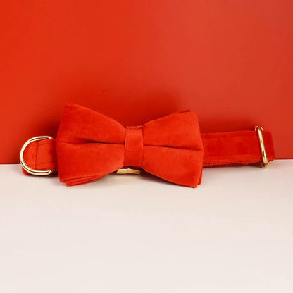 47959058350427|47959058383195|47959058415963|47959060545883