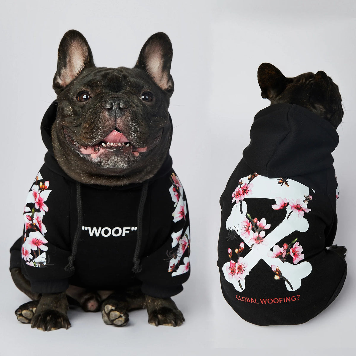 Woof Hoodie