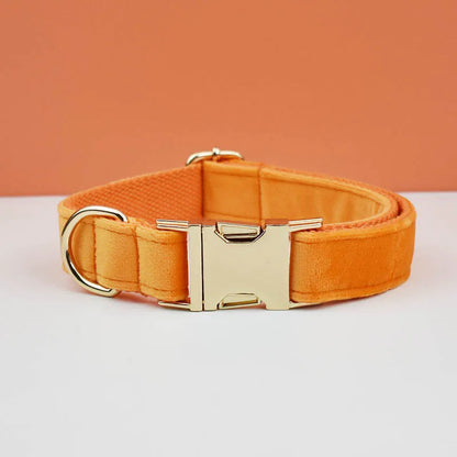 Adjustable Collar & Leash