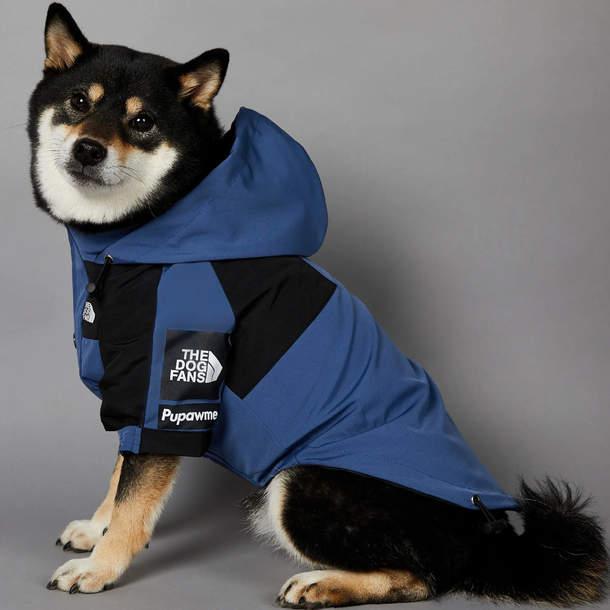 Rainproof Windbreaker