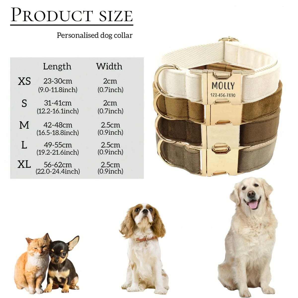 Personalized Collar