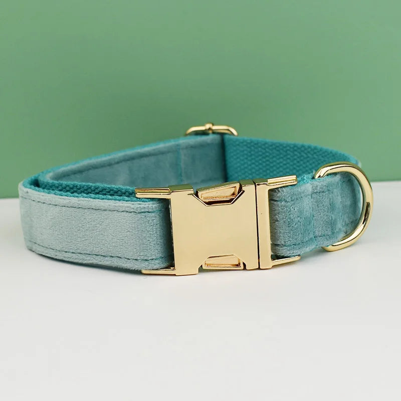 Adjustable Collar & Leash