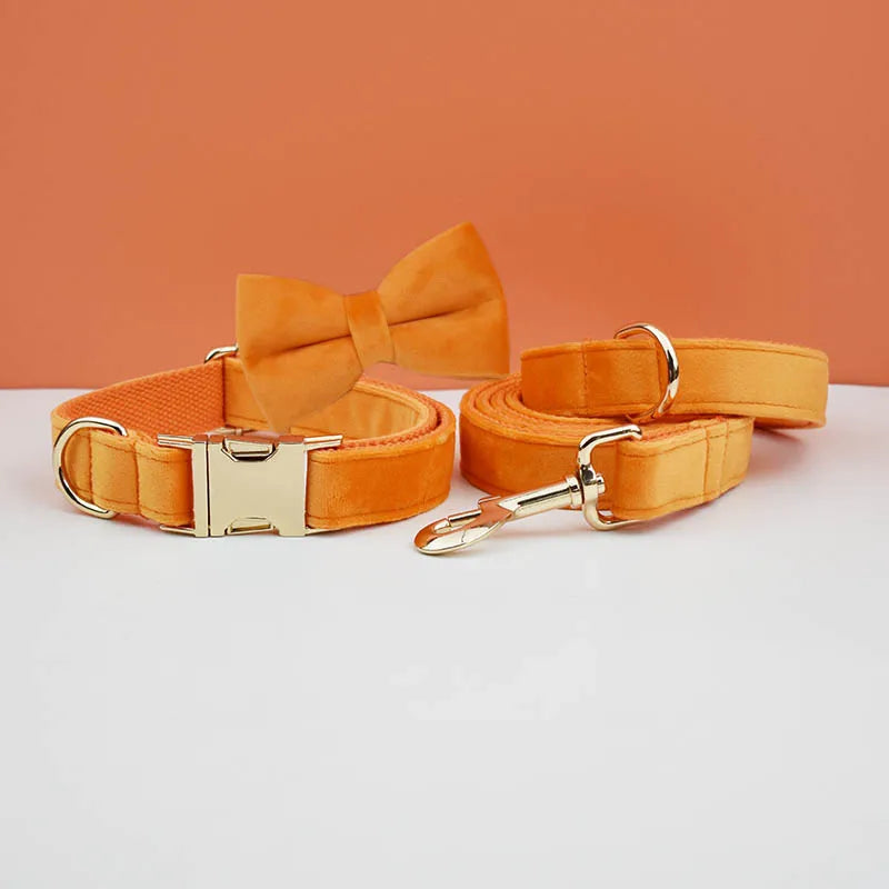 Adjustable Collar & Leash