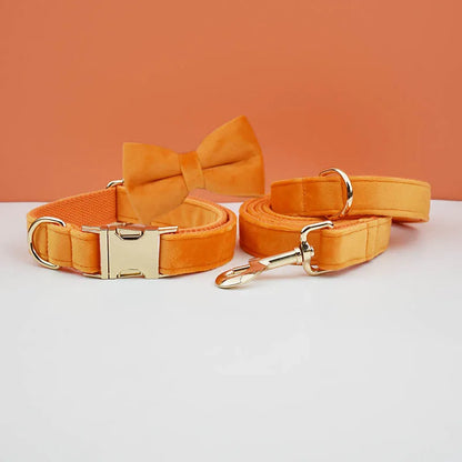 Adjustable Collar & Leash