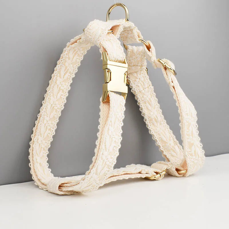 47874019393883|47874019426651|47874019492187|47874019557723