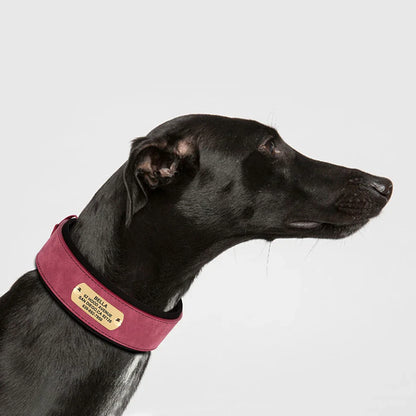 Personalized Leather Collar