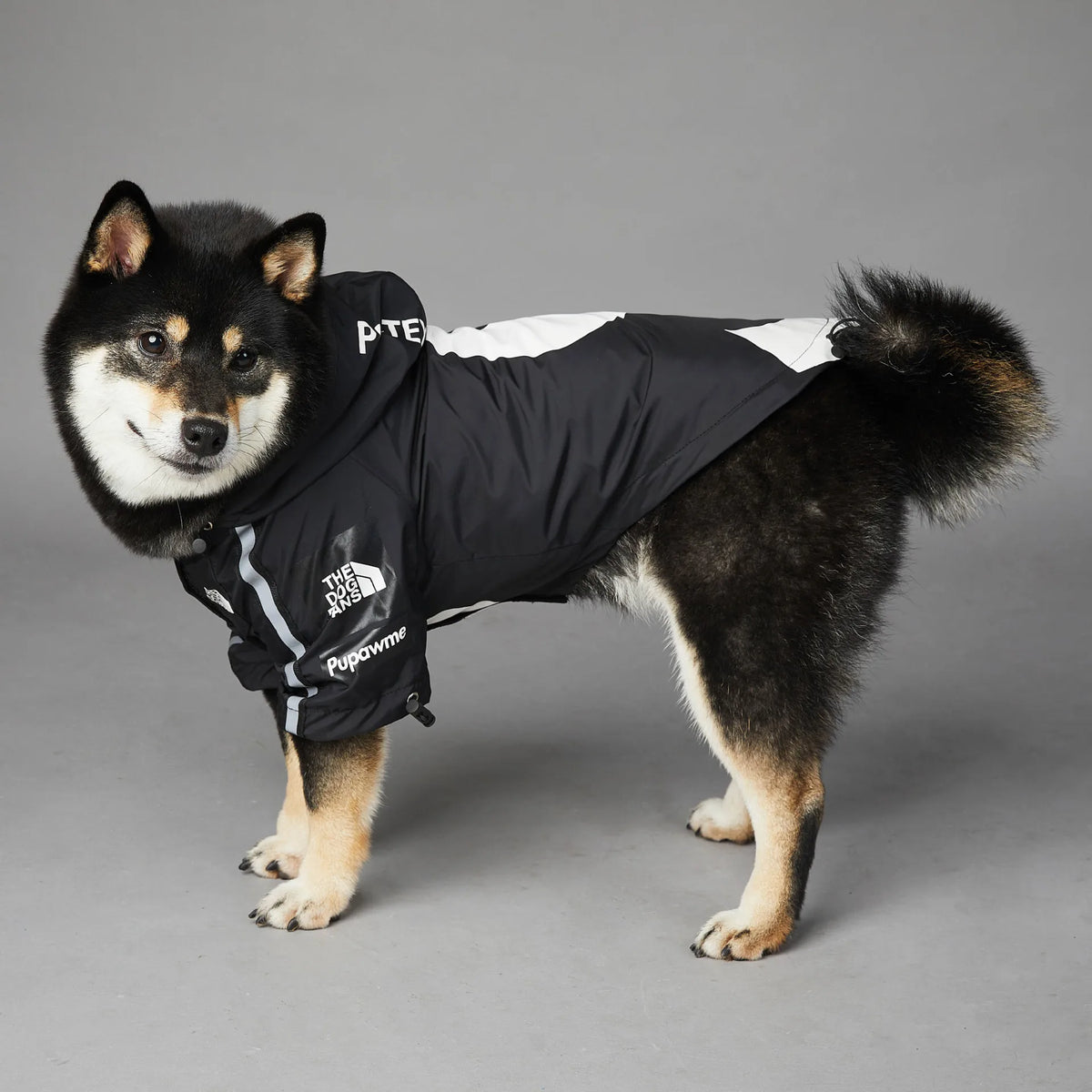 The Dog Face Waterproof