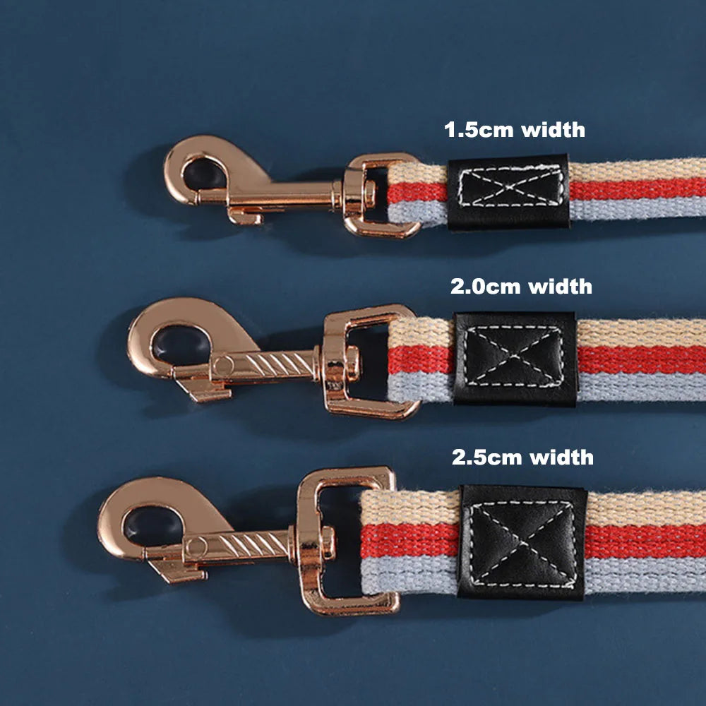 Durable Nylon Leash