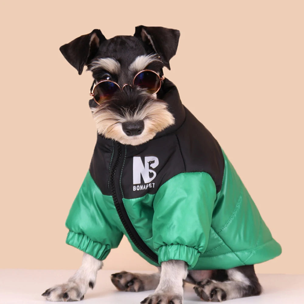 Windproof Winter Jacket