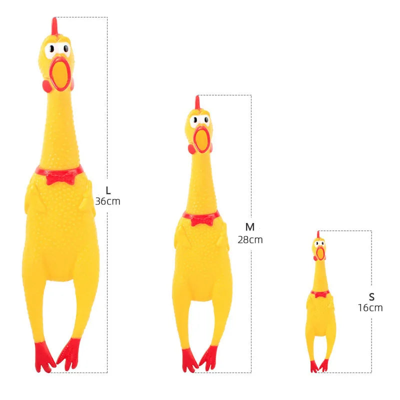 Chicken Toy
