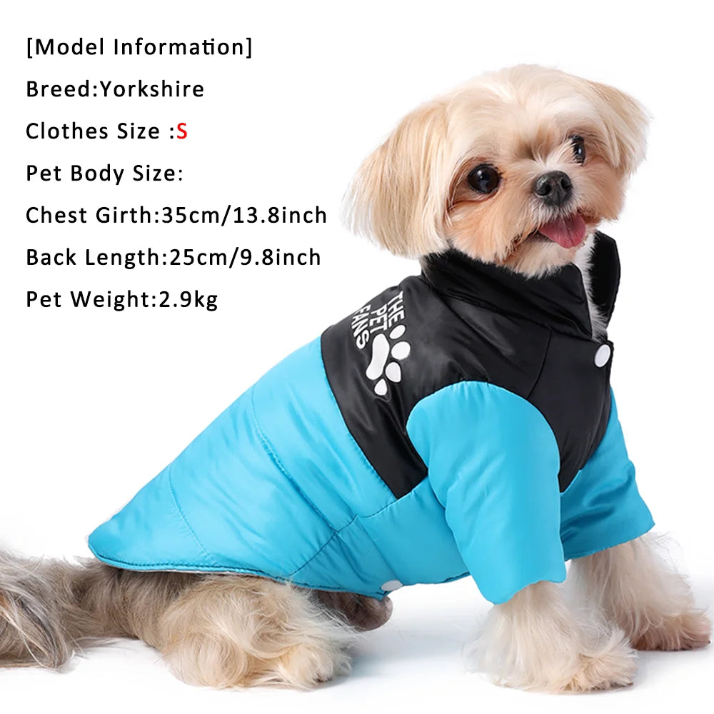 Reversible The Dog Face Jacket
