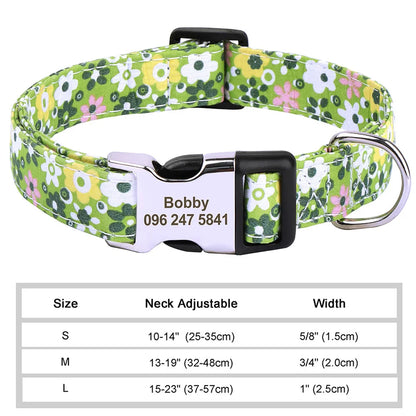Personalized Collar