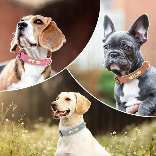 Personalized Leather Collar