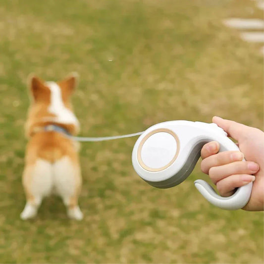 Retractable Leash