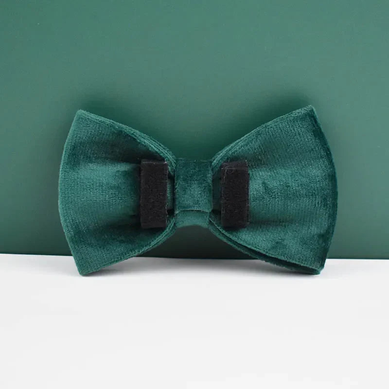 Green Velvet Matching Set