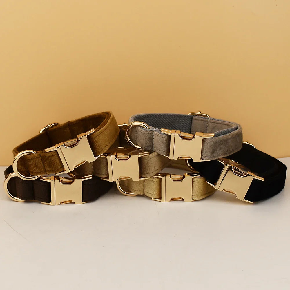 Personalized Collar & Leash