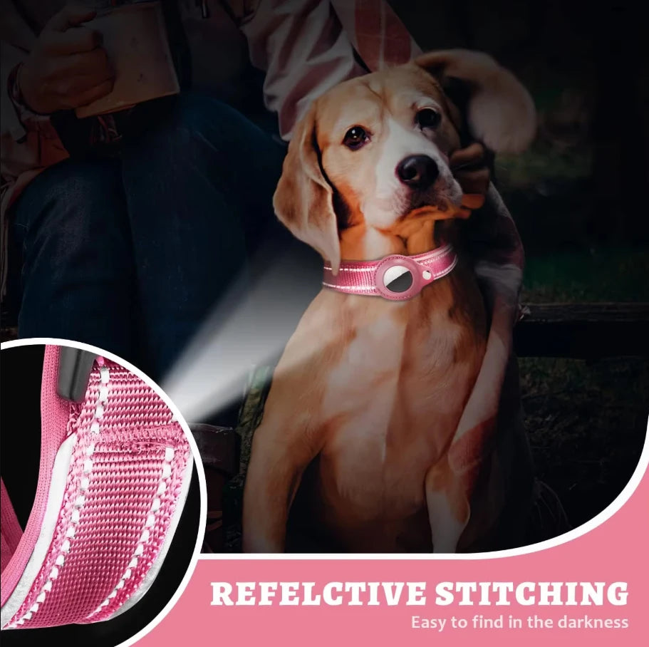 Reflective Collar