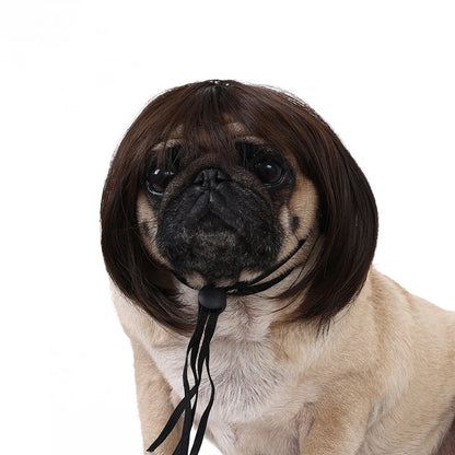 Playful Wig