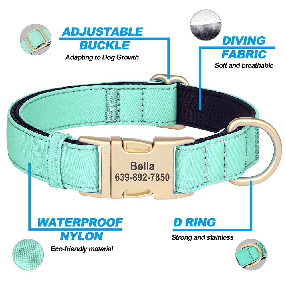 Personalized Nylon Collar