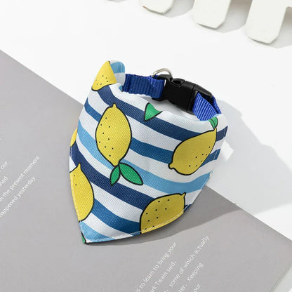 47878717079899|47878717112667|47878717276507