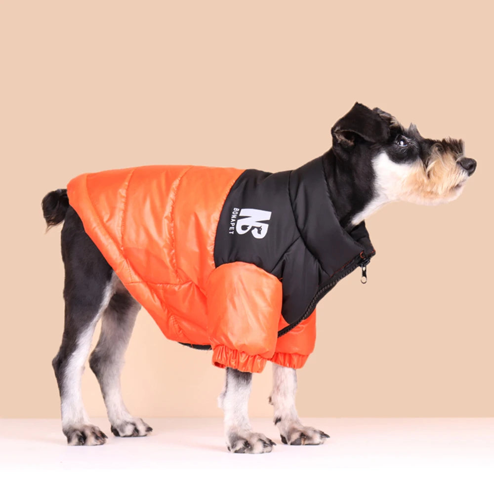 Windproof Winter Jacket