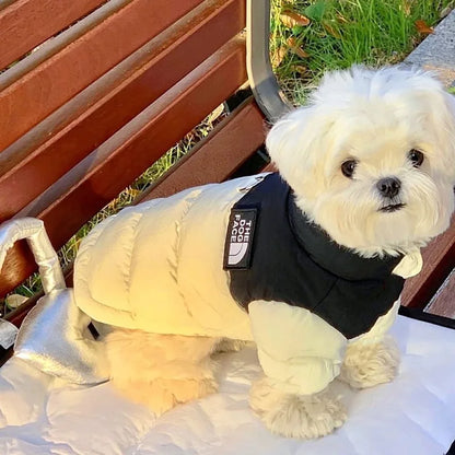 The Dog Face Jacket